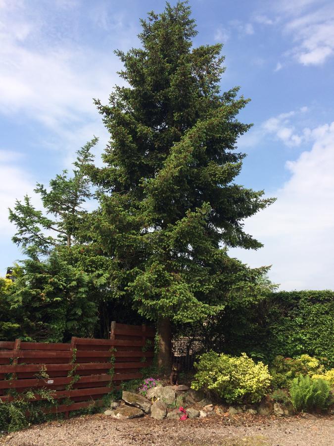 Firtree Bed And Breakfast At Galvelbeg House Crieff Exterior foto
